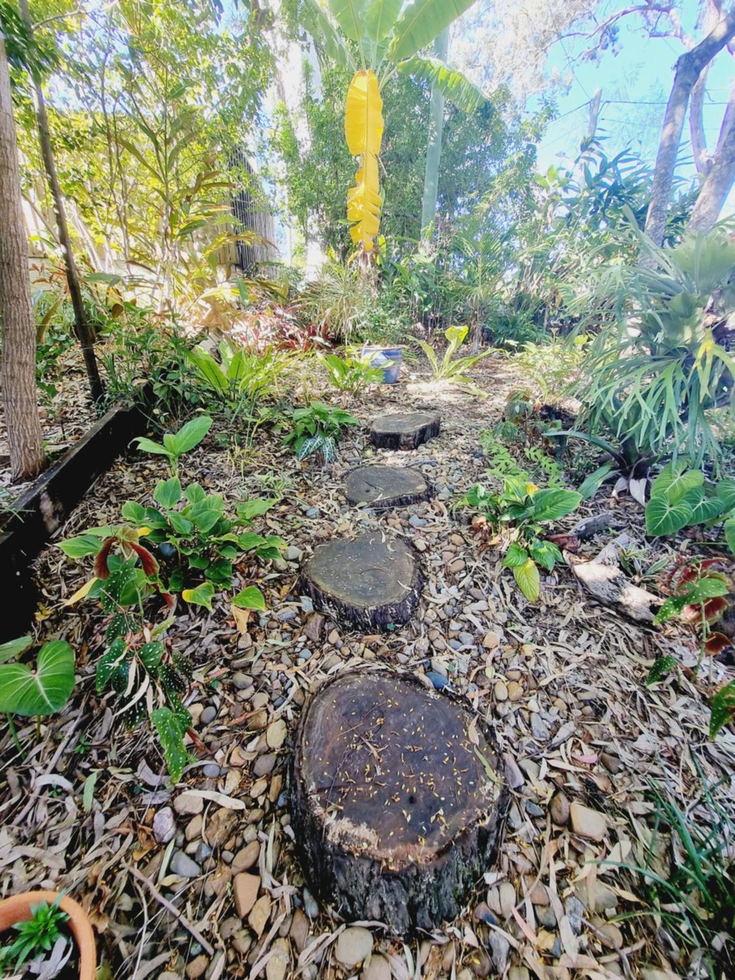 לינה וארוחת בוקר Karragarra Island Birdsong Retreat - On Lamb Island מראה חיצוני תמונה
